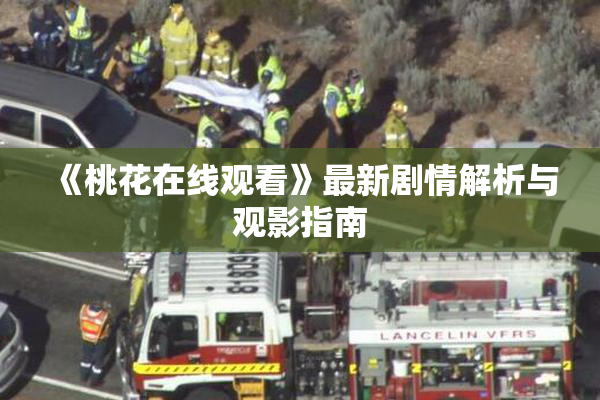 《桃花在线观看》最新剧情解析与观影指南