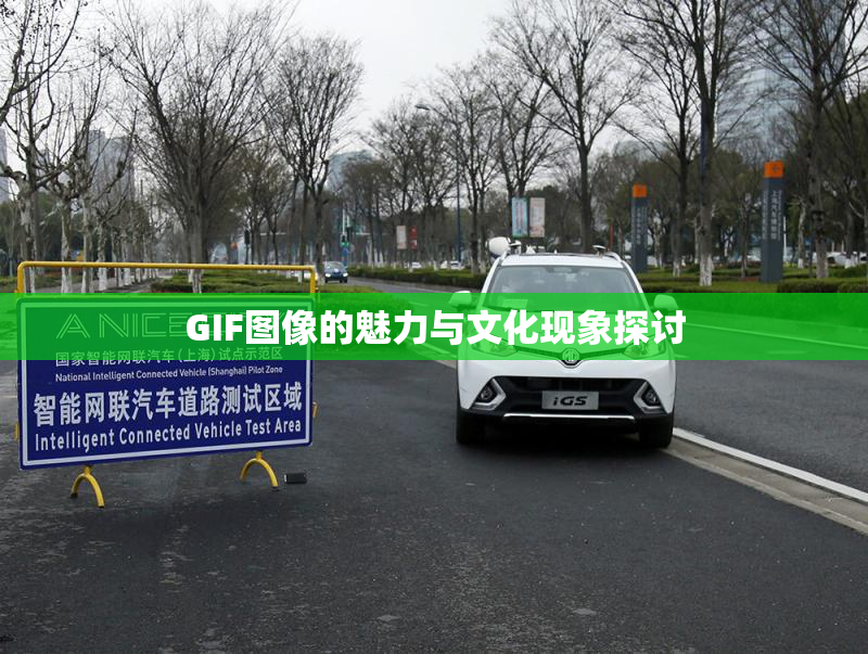 GIF图像的魅力与文化现象探讨