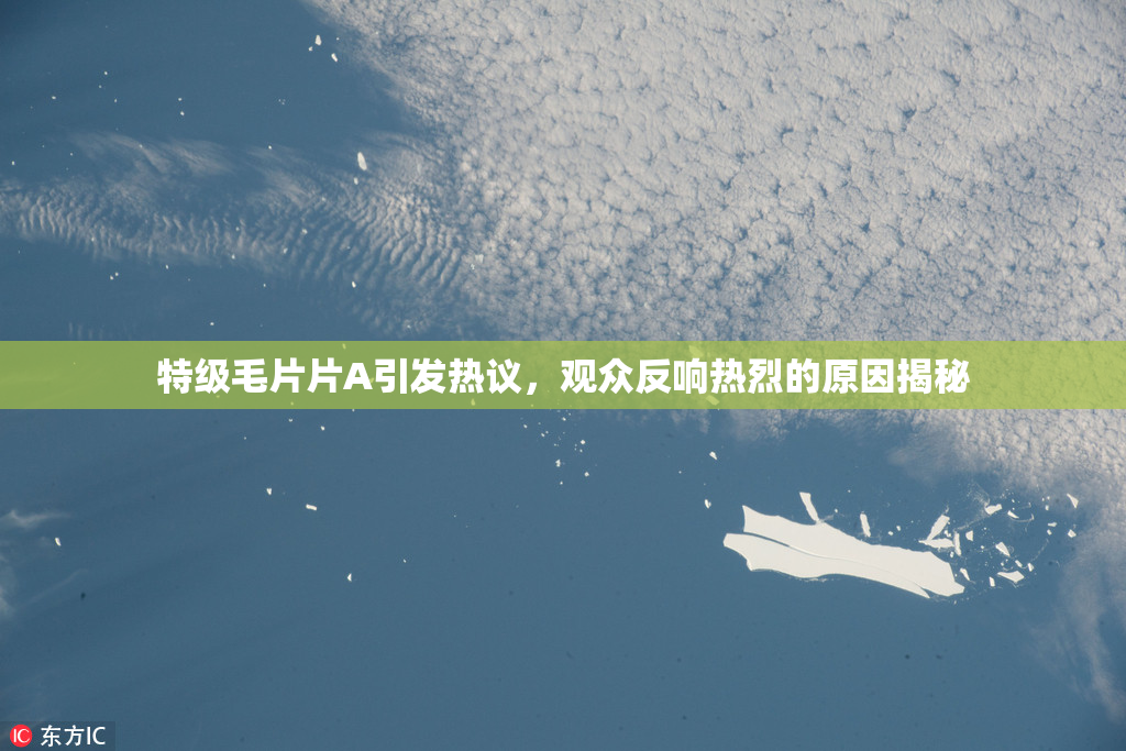 特级毛片片A引发热议，观众反响热烈的原因揭秘