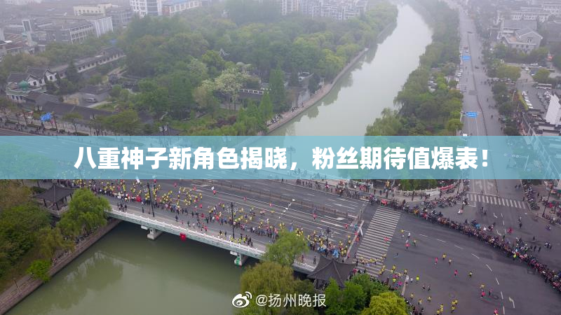 八重神子新角色揭晓，粉丝期待值爆表！