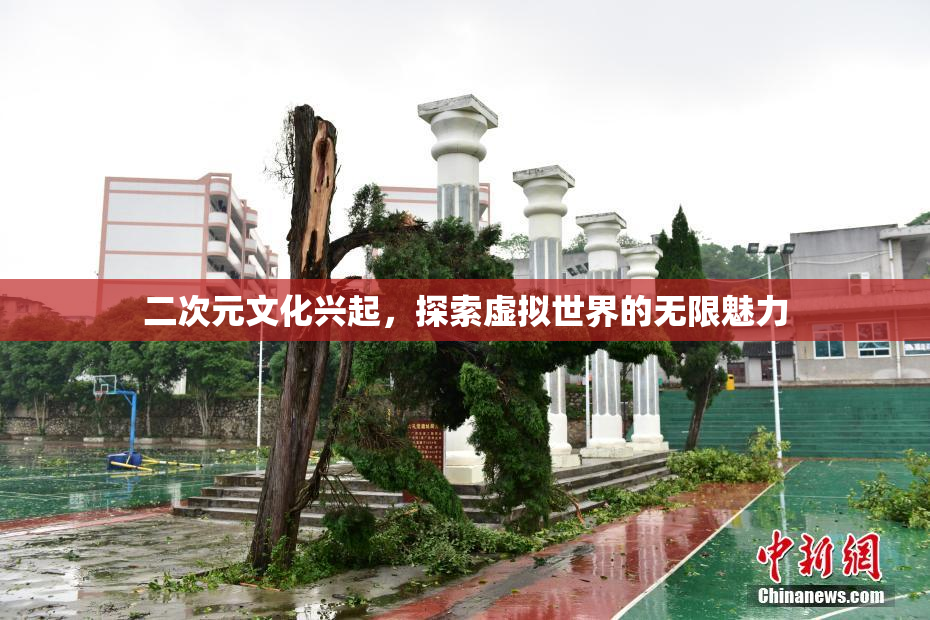 二次元文化兴起，探索虚拟世界的无限魅力