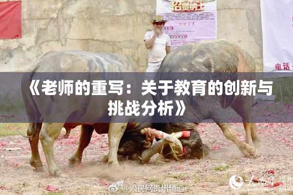 《老师的重写：关于教育的创新与挑战分析》