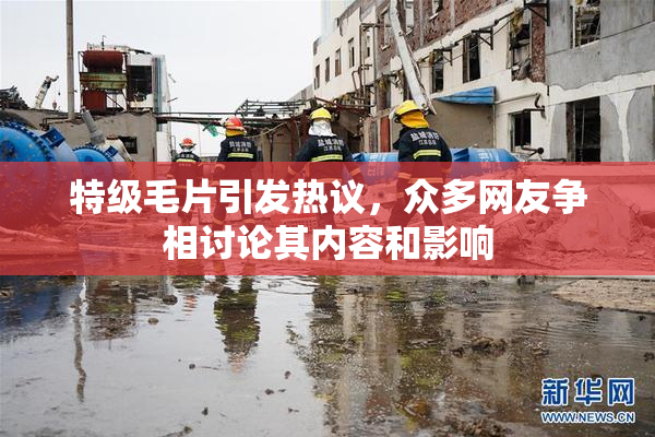 特级毛片引发热议，众多网友争相讨论其内容和影响