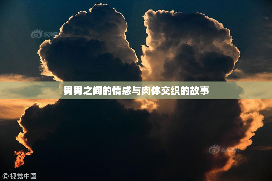 男男之间的情感与肉体交织的故事