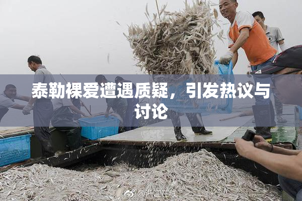 泰勒裸爱遭遇质疑，引发热议与讨论