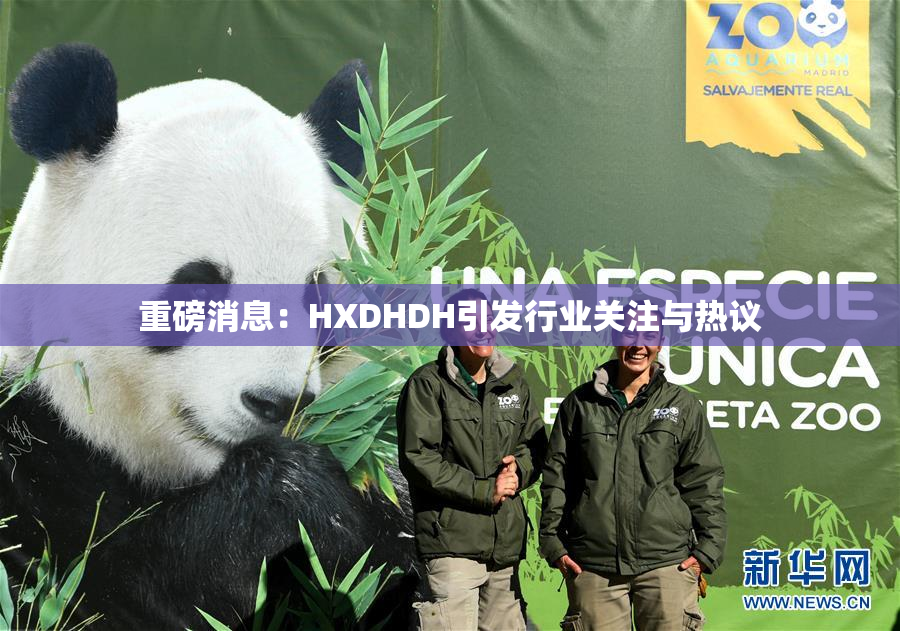 重磅消息：HXDHDH引发行业关注与热议