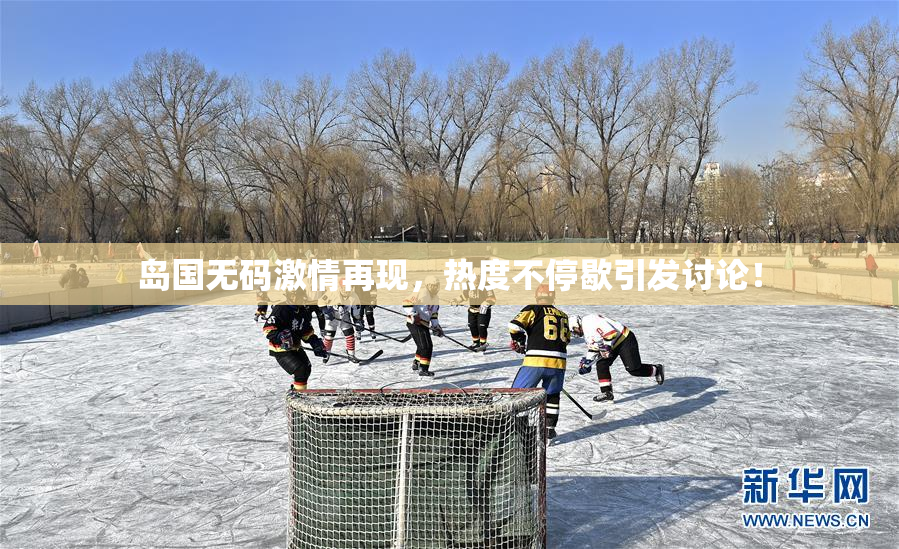 岛国无码激情再现，热度不停歇引发讨论！