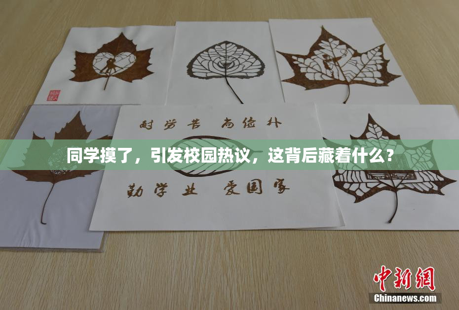 同学摸了，引发校园热议，这背后藏着什么？