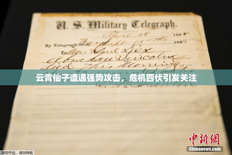 云霄仙子遭遇强势攻击，危机四伏引发关注