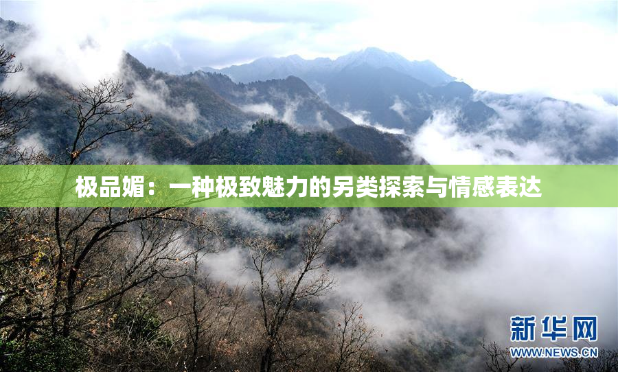 极品媚：一种极致魅力的另类探索与情感表达