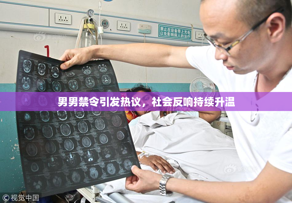 男男禁令引发热议，社会反响持续升温