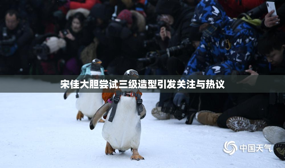 宋佳大胆尝试三级造型引发关注与热议