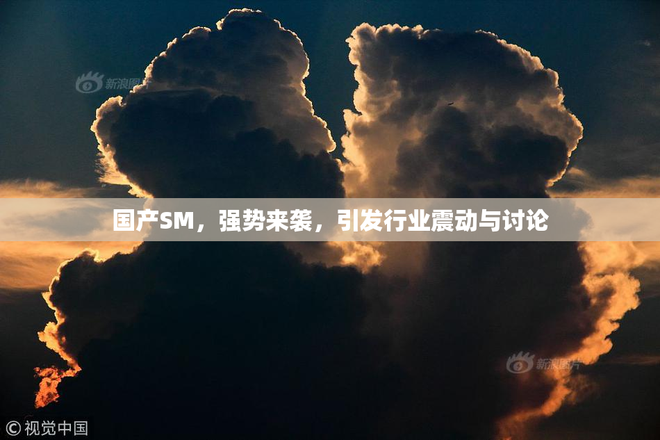 国产SM，强势来袭，引发行业震动与讨论