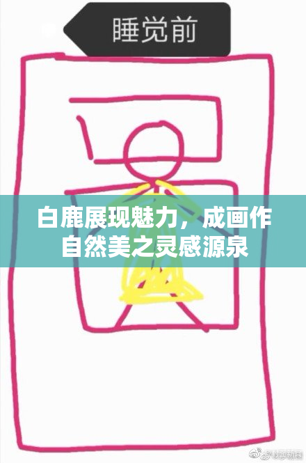 白鹿展现魅力，成画作自然美之灵感源泉