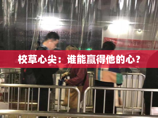 校草心尖：谁能赢得他的心？
