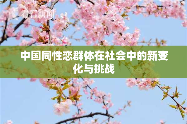 中国同性恋群体在社会中的新变化与挑战
