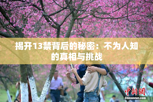 揭开13禁背后的秘密：不为人知的真相与挑战