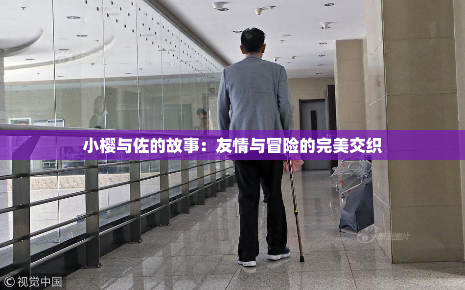 小樱与佐的故事：友情与冒险的完美交织