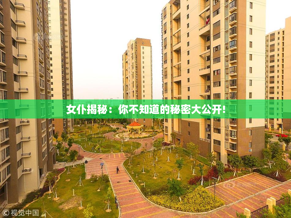 女仆揭秘：你不知道的秘密大公开!