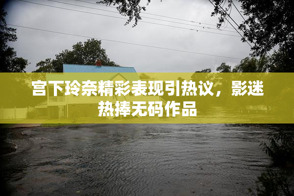 宫下玲奈精彩表现引热议，影迷热捧无码作品