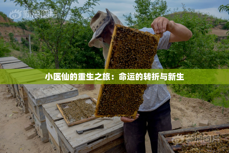 小医仙的重生之旅：命运的转折与新生