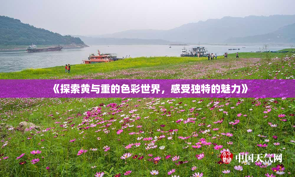 《探索黄与重的色彩世界，感受独特的魅力》