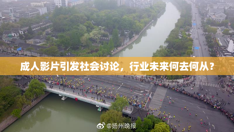 成人影片引发社会讨论，行业未来何去何从？
