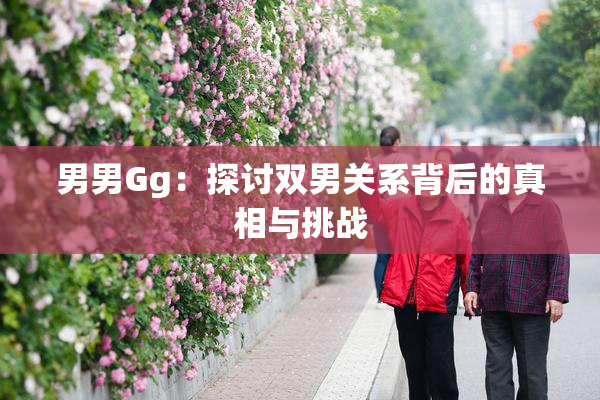 男男Gg：探讨双男关系背后的真相与挑战