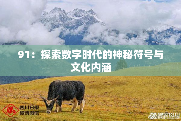 91：探索数字时代的神秘符号与文化内涵