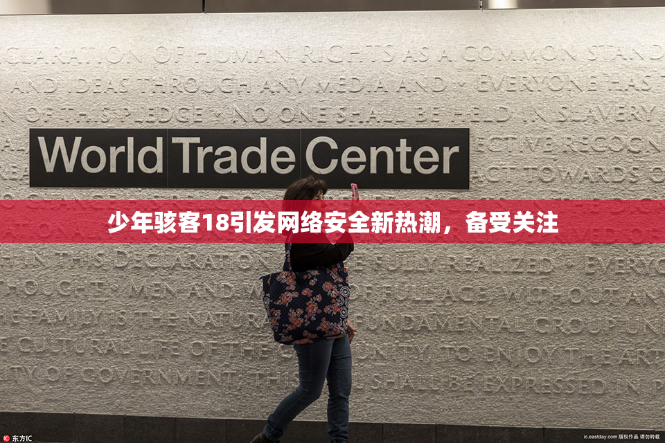 少年骇客18引发网络安全新热潮，备受关注