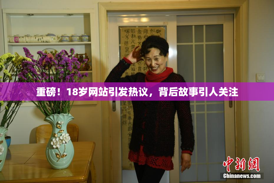 重磅！18岁网站引发热议，背后故事引人关注