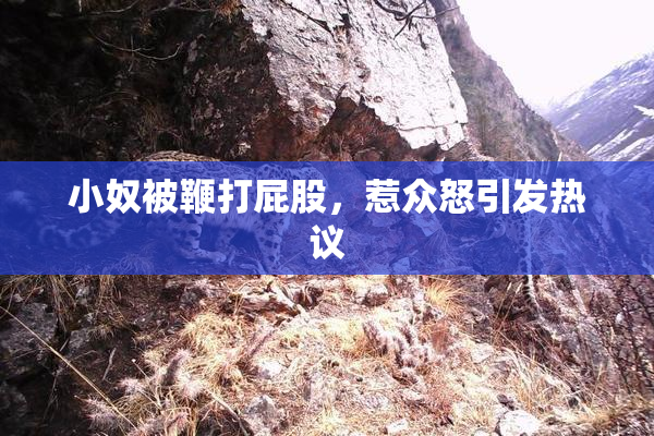小奴被鞭打屁股，惹众怒引发热议
