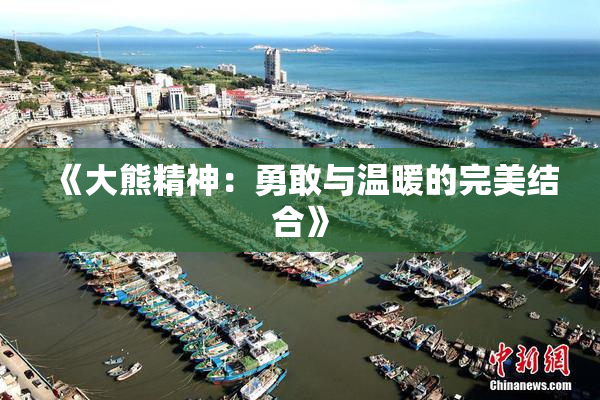 《大熊精神：勇敢与温暖的完美结合》