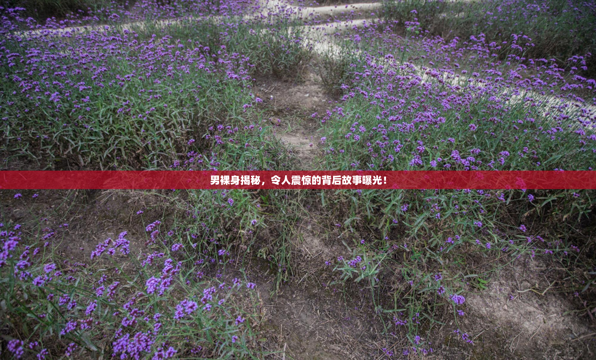 男裸身揭秘，令人震惊的背后故事曝光！