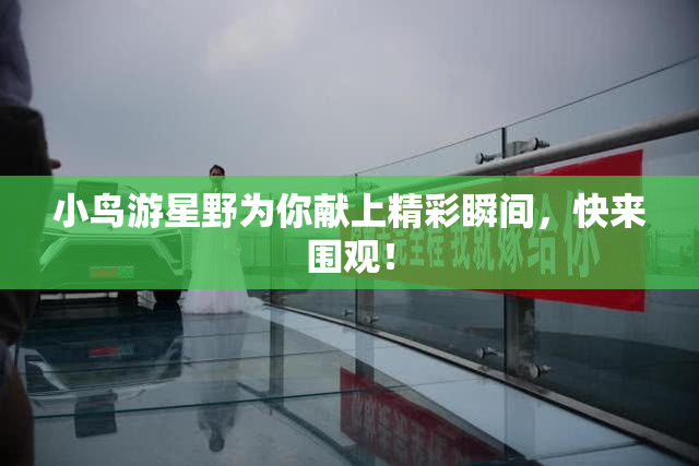 小鸟游星野为你献上精彩瞬间，快来围观！