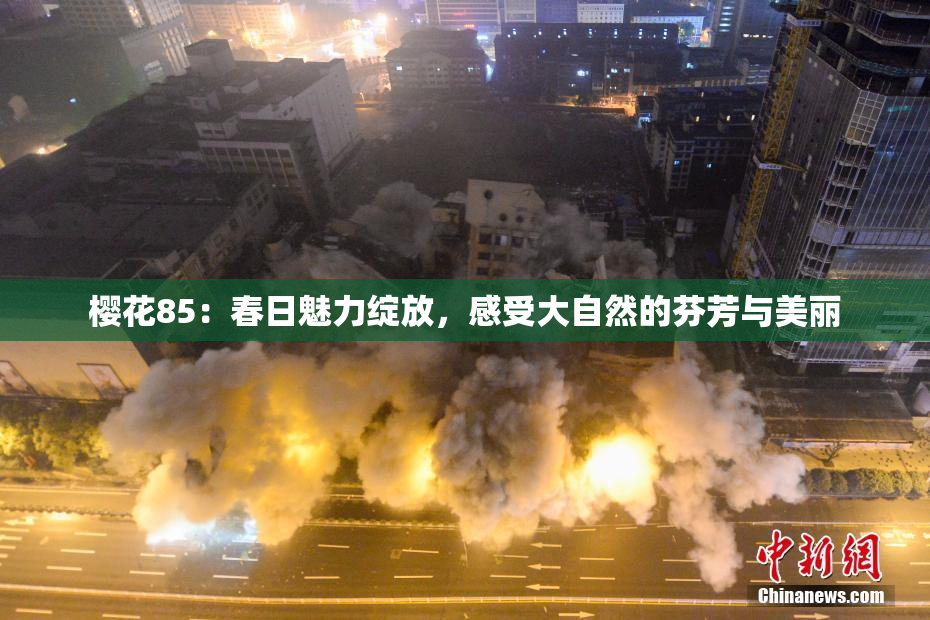 樱花85：春日魅力绽放，感受大自然的芬芳与美丽