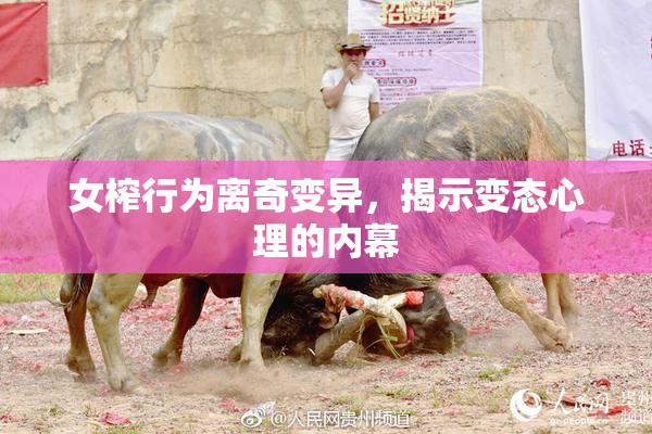 女榨行为离奇变异，揭示变态心理的内幕
