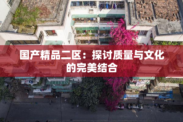 国产精品二区：探讨质量与文化的完美结合