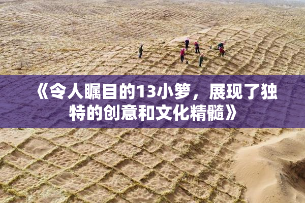 《令人瞩目的13小箩，展现了独特的创意和文化精髓》