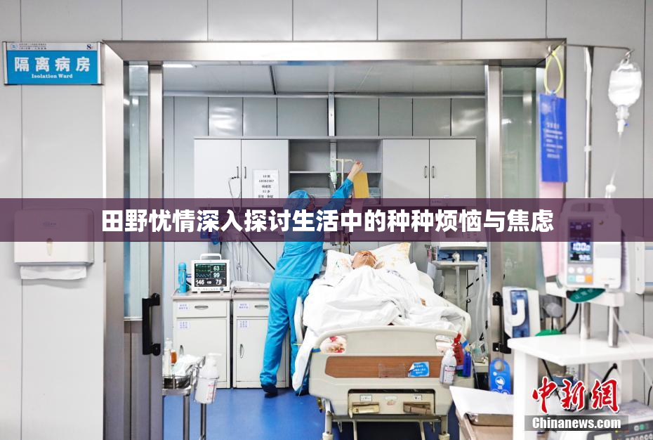 田野忧情深入探讨生活中的种种烦恼与焦虑