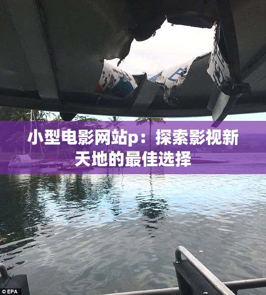 小型电影网站p：探索影视新天地的最佳选择