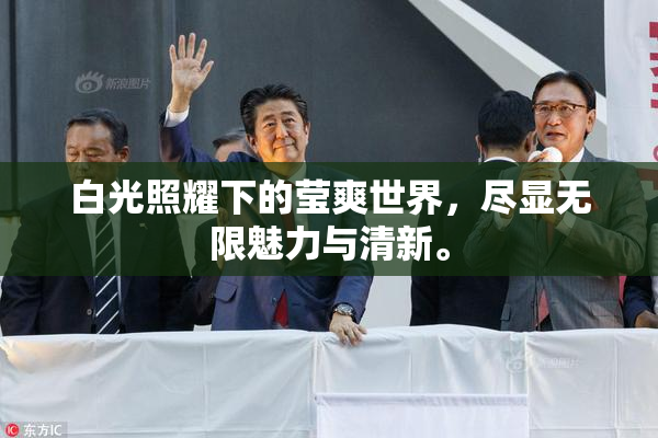 白光照耀下的莹爽世界，尽显无限魅力与清新。