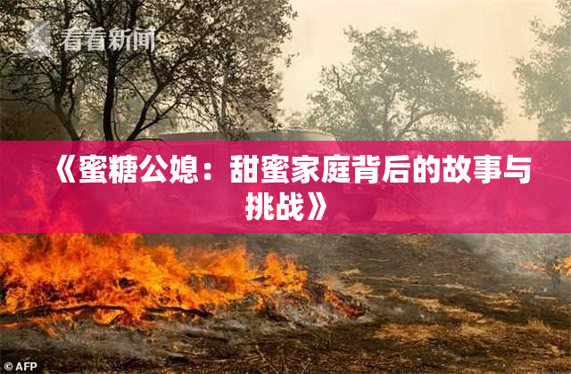 《蜜糖公媳：甜蜜家庭背后的故事与挑战》