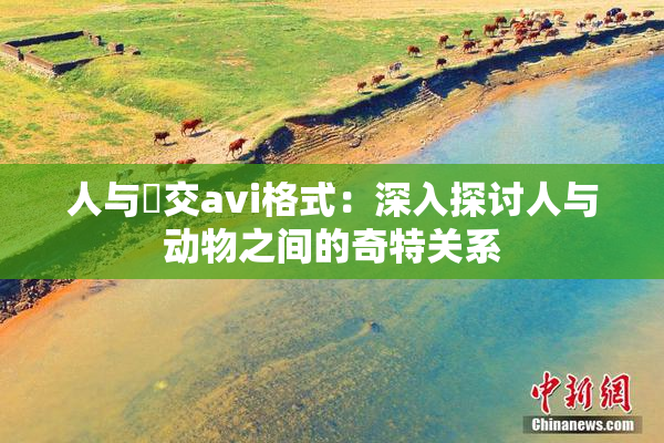 人与嘼交avi格式：深入探讨人与动物之间的奇特关系