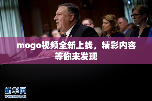 mogo视频全新上线，精彩内容等你来发现