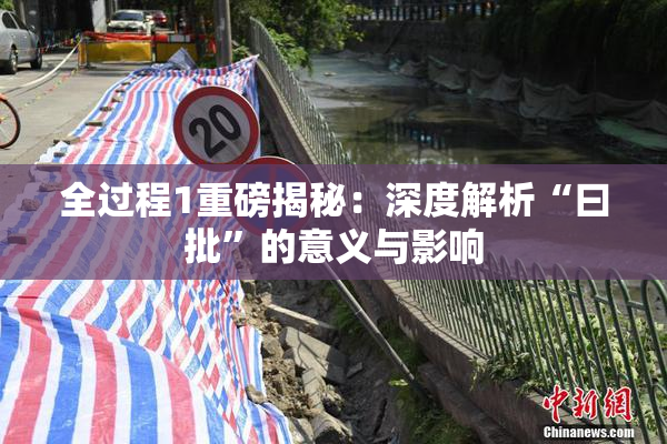全过程1重磅揭秘：深度解析“曰批”的意义与影响