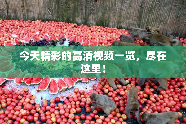 今天精彩的高清视频一览，尽在这里！