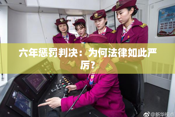 六年惩罚判决：为何法律如此严厉？