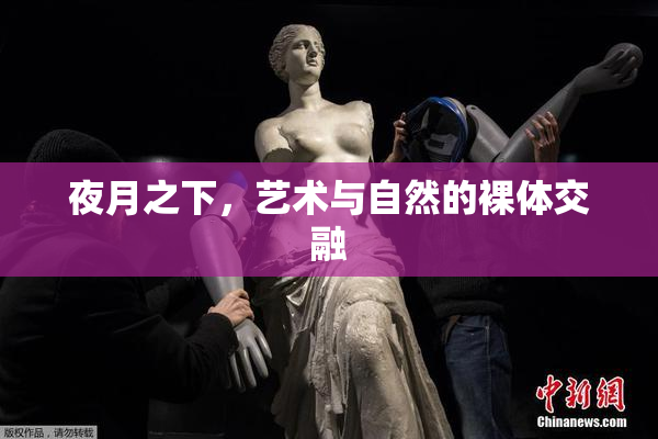 夜月之下，艺术与自然的裸体交融