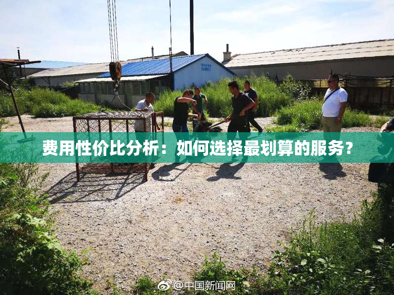 费用性价比分析：如何选择最划算的服务？